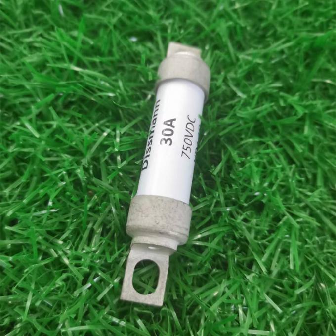  Fusible automotriz estándar británico del fusible del fusible BS88 de Dissmann