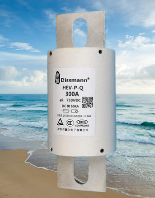 Uso de alta velocidad del fusible del semiconductor de DC750V para el poder del cargador de EV