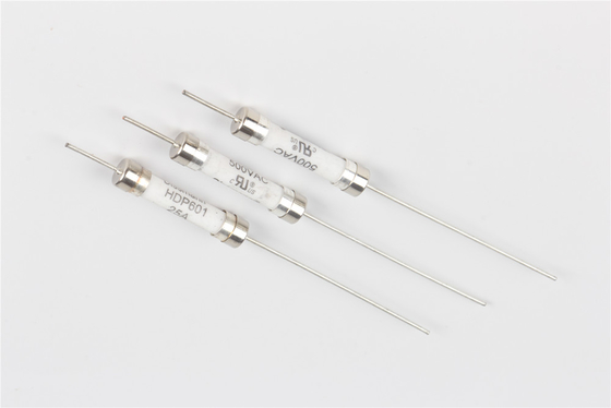 EV que carga el fusible de cerámica del tubo, IEC60269 estándares 40a Mini Fuse