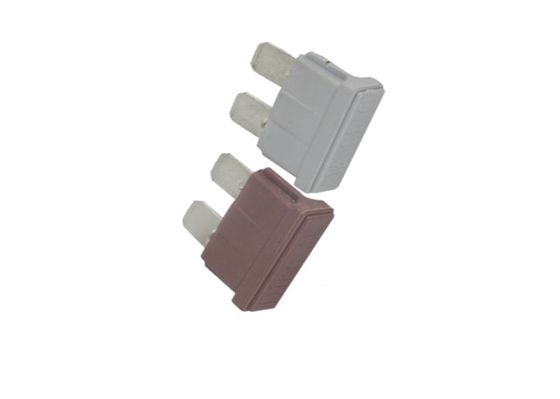 Forma plana material temporaria rápida automotriz encendida del fusible PBT de 1 amperio