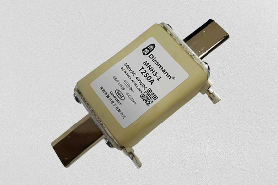 Tipo termal fusible 100 amperio 50kA del NH de HRC que rompe estándar de la capacidad UL248
