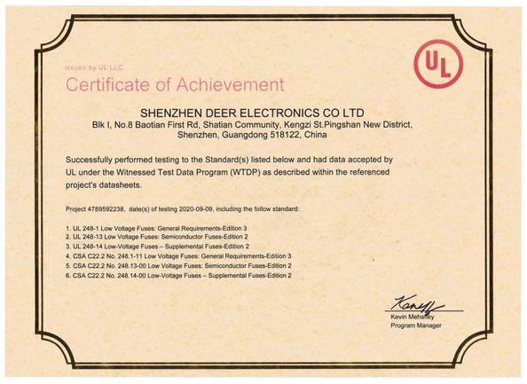 China Dissmann | Global Expert Fuse for EV | HEV | Photovoltaic | Battery | Energy Storage Solutions Certificaciones